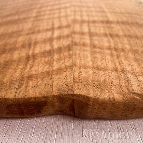 ▦きのかたち：色とりどりの不揃いコースター／XL「シカモア、レッドオーク」│coaster unusual 9枚目の画像