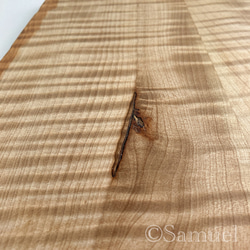 ▦きのかたち：色とりどりの不揃いコースター／XL「シカモア、レッドオーク」│coaster unusual 16枚目の画像