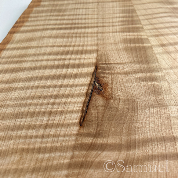 ▦きのかたち：色とりどりの不揃いコースター／XL「シカモア、レッドオーク」│coaster unusual 16枚目の画像