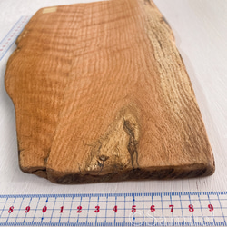 ▦きのかたち：色とりどりの不揃いコースター／XL「シカモア、レッドオーク」│coaster unusual 4枚目の画像