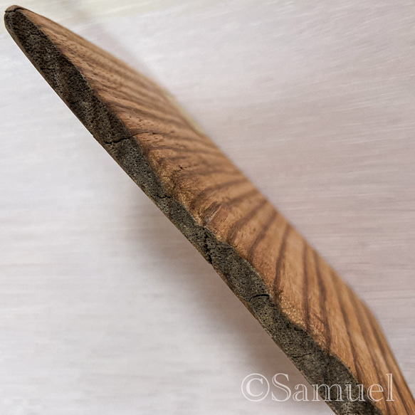 ▦きのかたち：色とりどりの不揃いコースター／セットⅠ「疾走る縞馬ゼブラウッド×4」│coaster Zebrawood 15枚目の画像