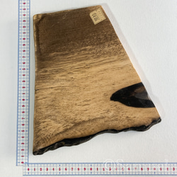 ▦きのかたち：色とりどりの不揃いコースター／セットⅡ「黒柿terzetto」│coaster Wood 6枚目の画像