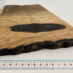 ▦きのかたち：色とりどりの不揃いコースター／セットⅡ「黒柿terzetto」│coaster Wood 8枚目の画像