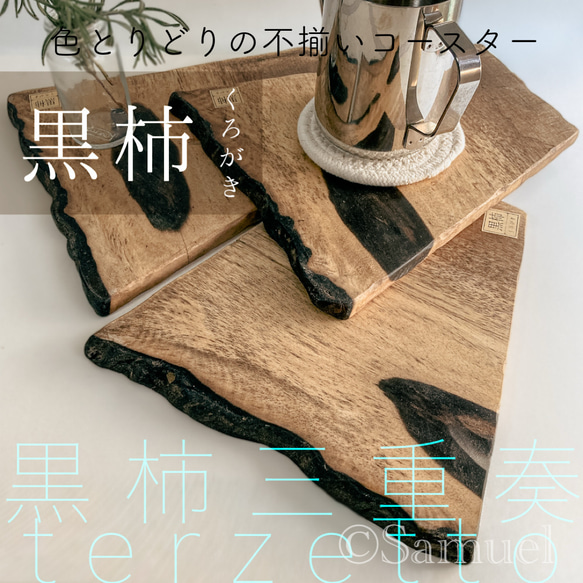 ▦きのかたち：色とりどりの不揃いコースター／セットⅡ「黒柿terzetto」│coaster Wood 1枚目の画像