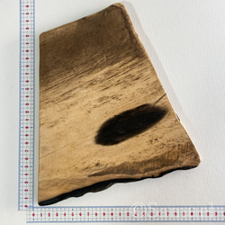 ▦きのかたち：色とりどりの不揃いコースター／セットⅡ「黒柿terzetto」│coaster Wood 3枚目の画像