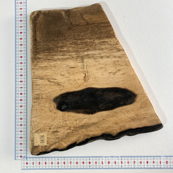 ▦きのかたち：色とりどりの不揃いコースター／セットⅡ「黒柿terzetto」│coaster Wood 2枚目の画像