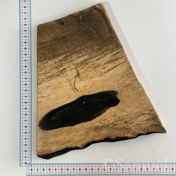 ▦きのかたち：色とりどりの不揃いコースター／セットⅡ「黒柿terzetto」│coaster Wood 5枚目の画像