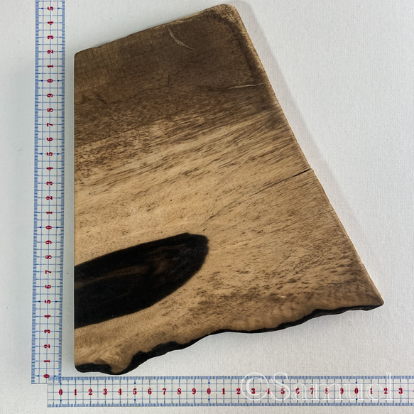 ▦きのかたち：色とりどりの不揃いコースター／セットⅡ「黒柿terzetto」│coaster Wood 7枚目の画像