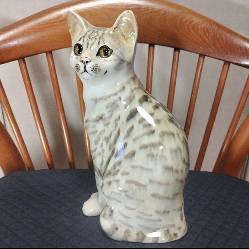 ウィンスタンレイキャット（ケンジントンキャット）サイズ6、大きな