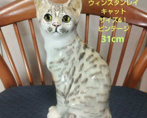 ウィンスタンレイキャット（ケンジントンキャット）サイズ6、大きな