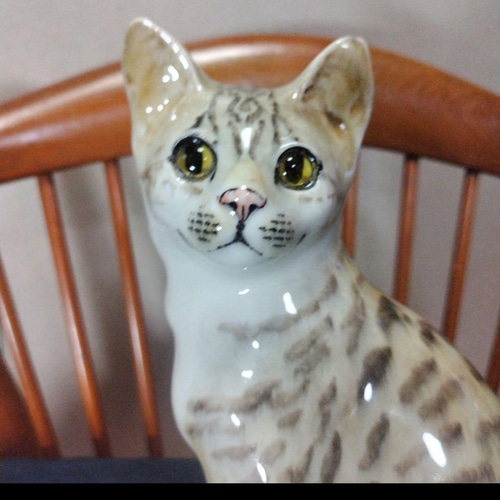 ウィンスタンレイキャット（ケンジントンキャット）サイズ6、大きな
