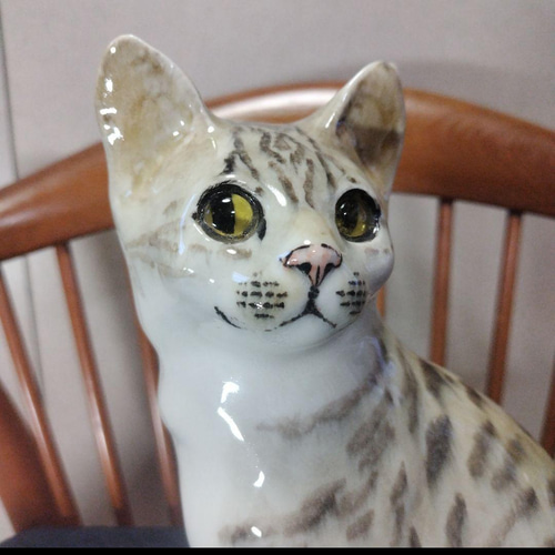 ウィンスタンレイキャット（ケンジントンキャット）サイズ6、大きな