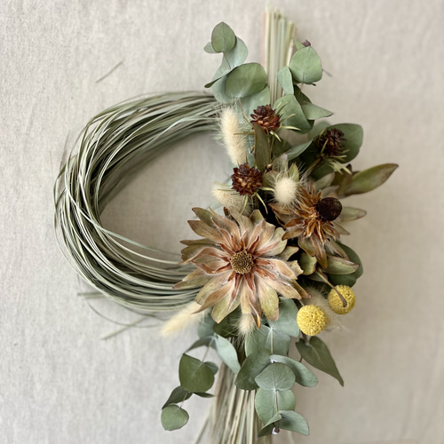 ラグラスと涼やか夏草リース◎23センチ＊ドライフラワーリース ラグラスと涼やか夏草リース◎23センチ＊ドライフラワーリース
