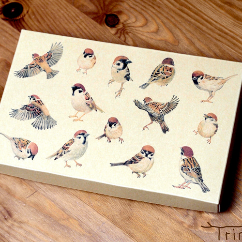 スズメ、色紙です、 スズメ、色紙です、 スズメ、色紙です、 スズメ、色紙です、 ✽ 色紙