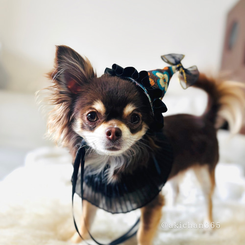 レトロフラワー柄リボン｜犬 猫 ヘアアクセサリー｜記念日・撮影