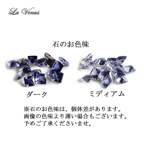✴︎静寂の菫色✴︎ つけっぱなしOK 天然 アイオライト 一粒 ピアス