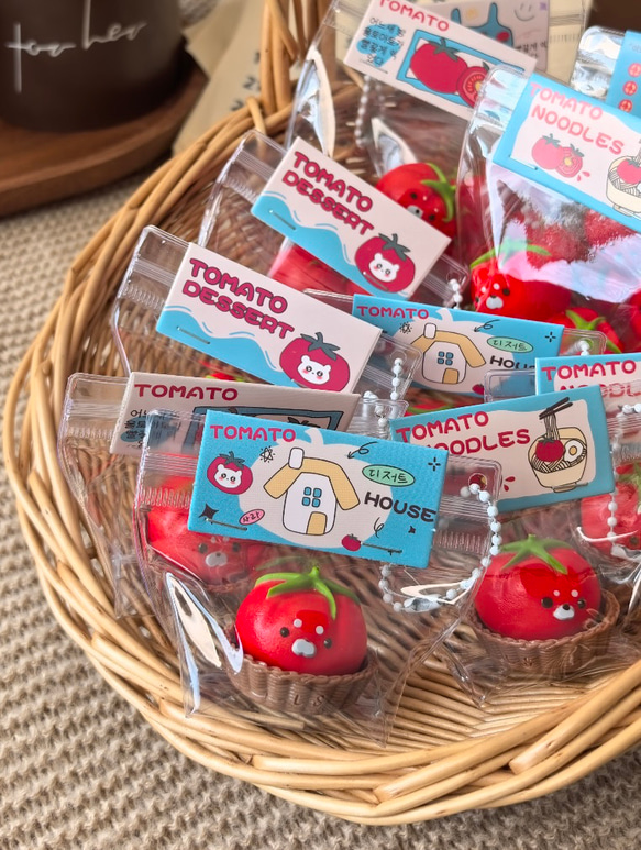 スクイーズ】アザラシトマトスクイーズ Seal Tomato squishy その他