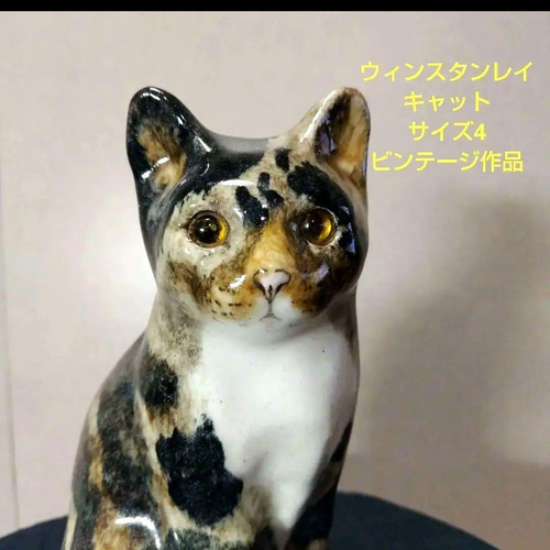 タビー＆ホワイト、ウィンスタンレイキャット（ケンジントンキャット
