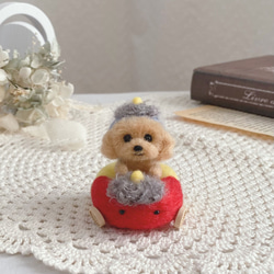 ひな祭り♡菱餅に乗った柴犬ちゃんのお雛様(羊毛フェルト) ひな祭り