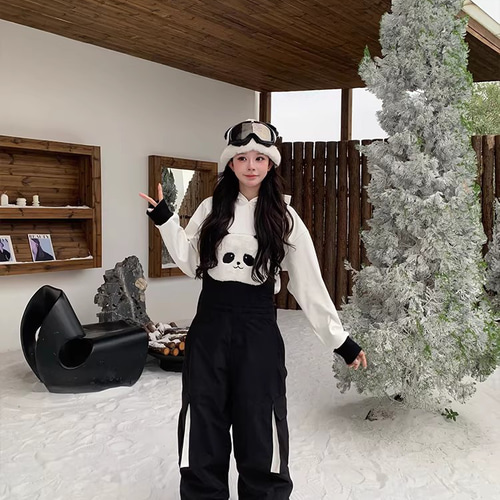 限定セール スノボウェア 上下セット パーカー オーバーオール2点