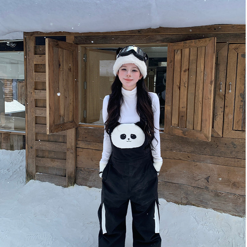 限定セール スノボウェア 上下セット パーカー オーバーオール2点