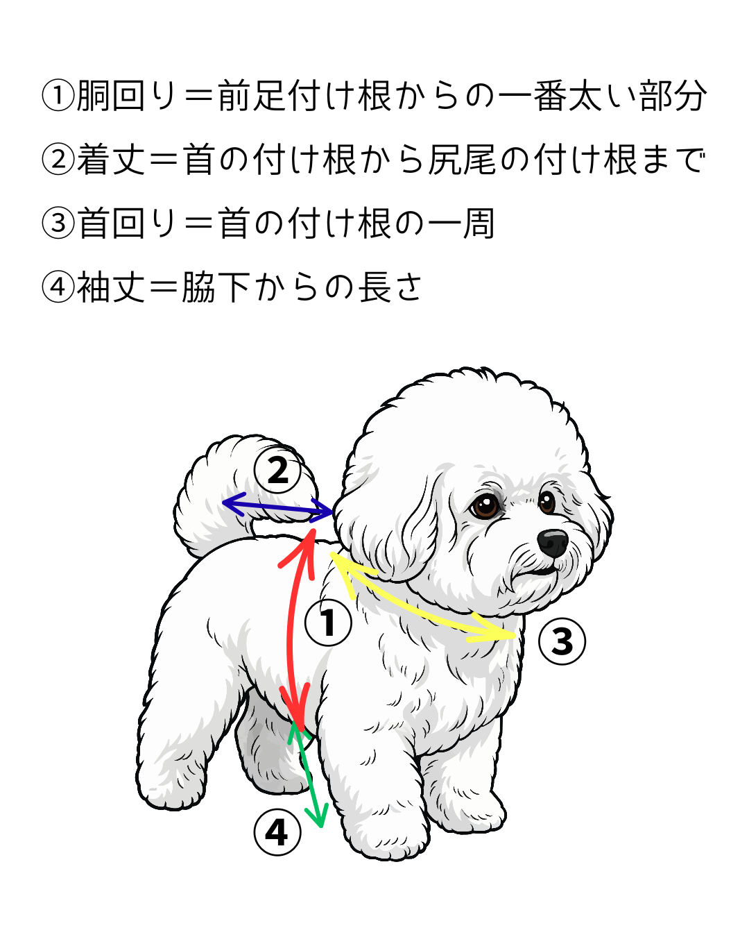 サイズの測り方