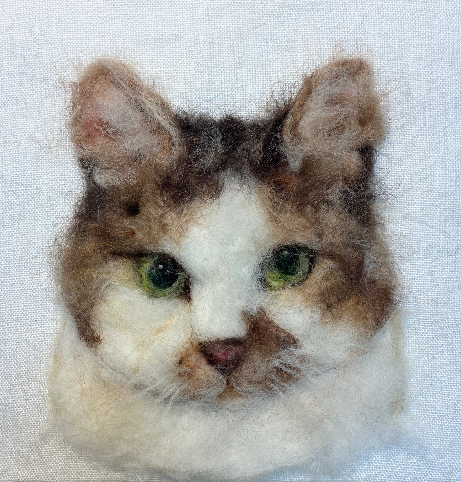 羊毛フェルト　ねこポートレート　うちの子オーダーメイド　25cm×25cm
