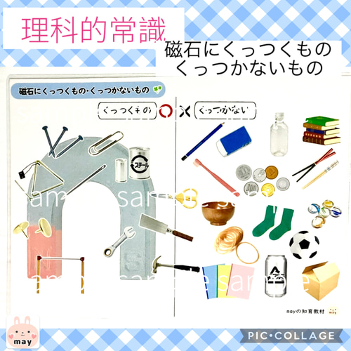 理科的常識表 6種セット 小学校受験 家庭学習 おもちゃ・人形 may