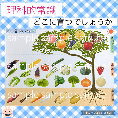 小学校受験　家庭学習教材 年中　9月、10月　8回セット 小学校受験 家庭学習教材 年中 9月、10月 8回セット