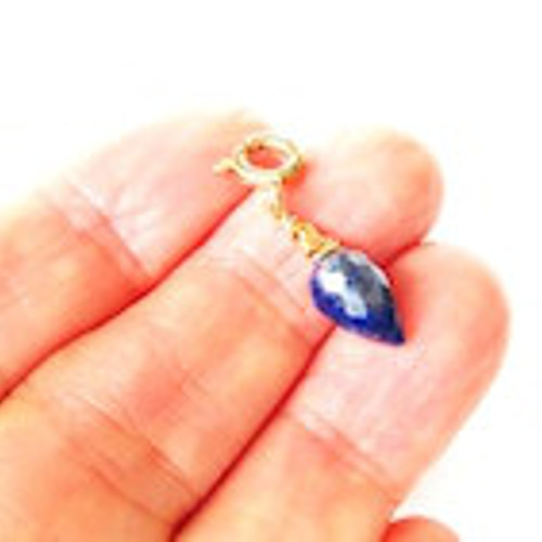 495/14kgfラピスラズリと青系小粒チャーム 495/14kgfラピスラズリと青系小粒チャーム他