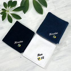 刺繍で名入れ 今治ミニタオルハンカチ【mt-7】バレーボール 名前 背