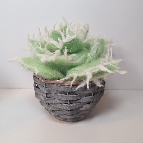 アガベ 多肉植物 観葉植物 羊毛フェルト 鉢別売り アガベ 多肉植物 観葉植物 羊毛フェルト 鉢別売り 羊毛フェルト Riru