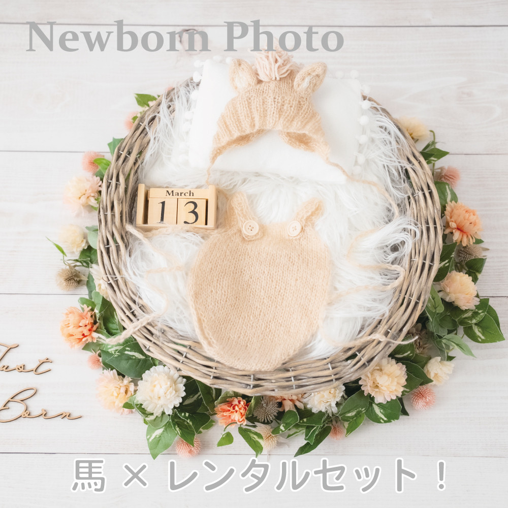 【レンタル】『馬』ニューボーンフォトセット②(カゴ、床、装飾、衣装など)ブラウン