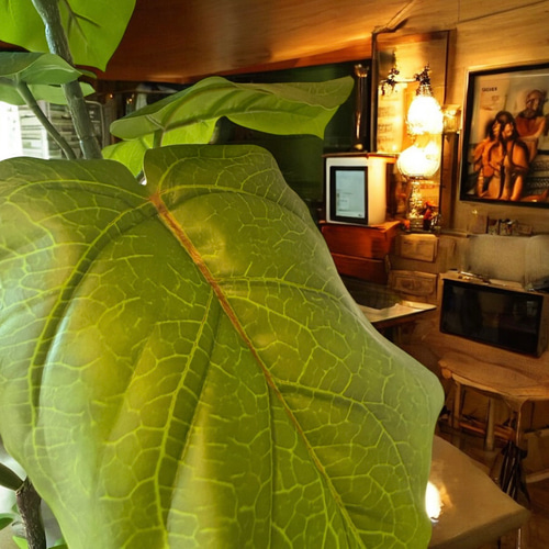 光触媒 人工観葉植物 ウォールグリーン フェイクグリーン ウンベラータ