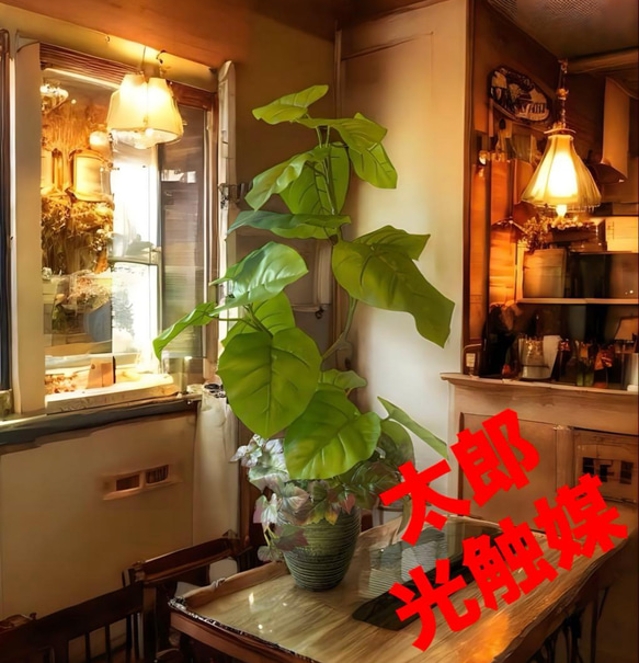 光触媒　人工観葉植物　ウォールグリーン　フェイクグリーン　スパイラルウンベラータ 光触媒 人工観葉植物 ウォールグリーン フェイクグリーン ウンベラータ