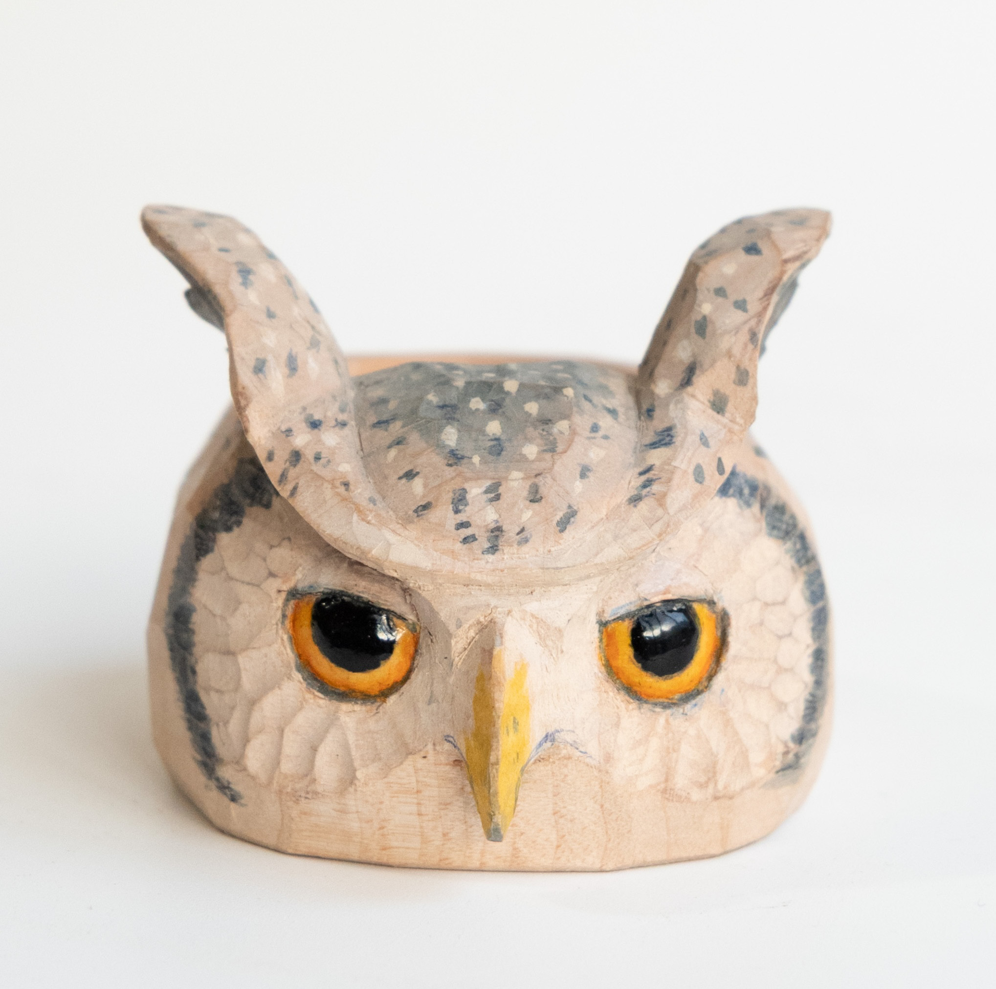 白コノハズクのスカーフリング