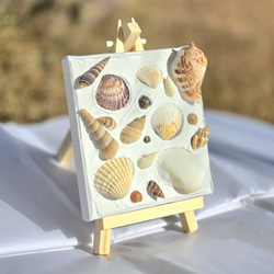 貝殻 オブジェ のおすすめ人気通販 検索結果｜Creema(クリーマ