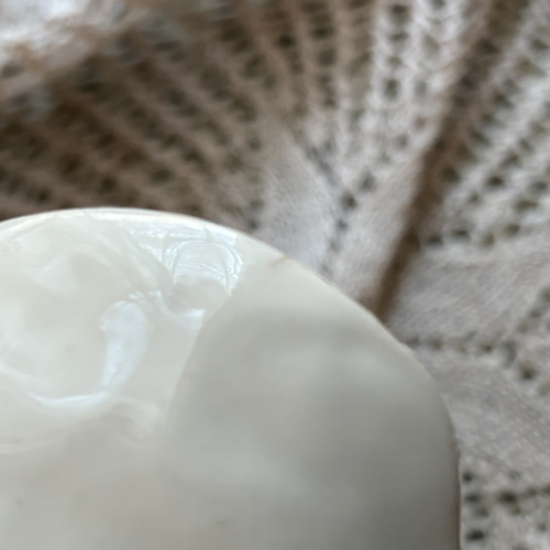 フランスアンティーク シェル型 ラヴィエ テーブルウェア お皿 小物