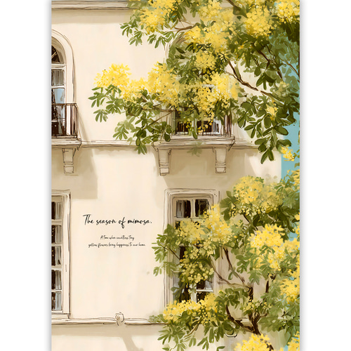 ミモザの頃【 窓辺に揺れるミモザ 】 春 ミモザ インテリア アート