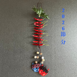 現品♡絶滅種♡ヒメオニソテツ♡ エンセファラルトス ホリダス