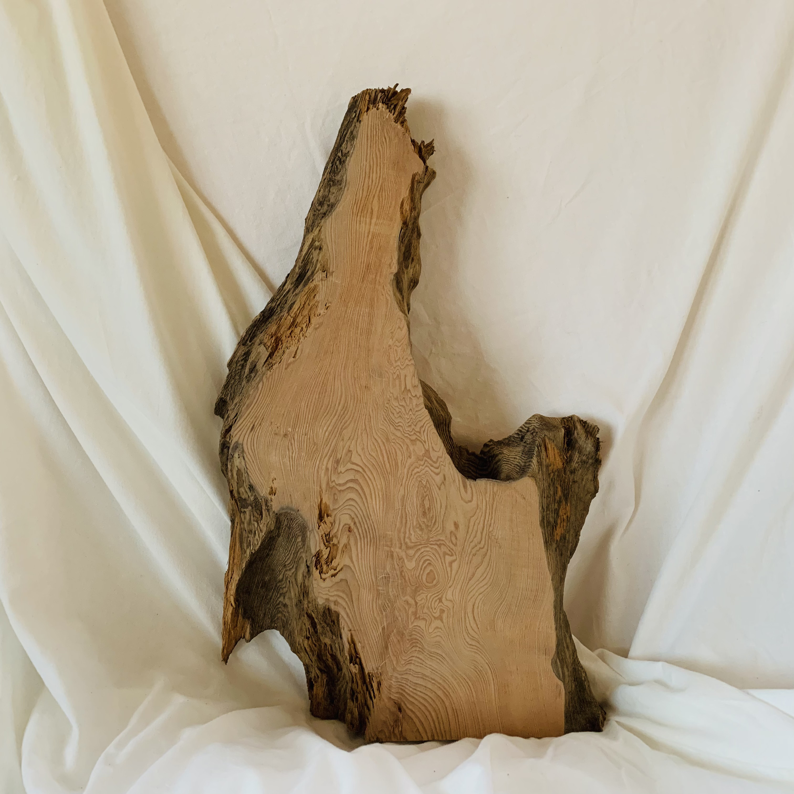 木の結婚証明書　屋久杉　Lサイズ