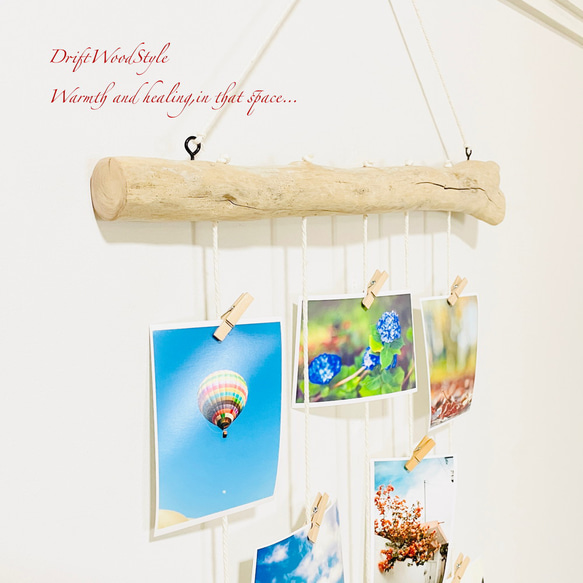 流木インテリア 壁一面に写真を飾れる中サイズのフォトディスプレイ 流木 写真ハンガー ウォールデコ 壁掛け N3 4枚目の画像