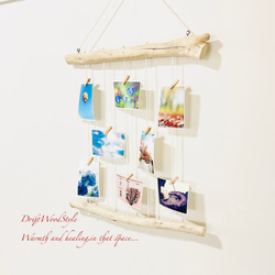 流木インテリア 壁一面に写真を飾れる中サイズのフォトディスプレイ 流木 写真ハンガー ウォールデコ 壁掛け N3 3枚目の画像