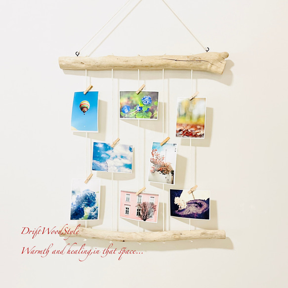 流木インテリア 壁一面に写真を飾れる中サイズのフォトディスプレイ 流木 写真ハンガー ウォールデコ 壁掛け N3 1枚目の画像
