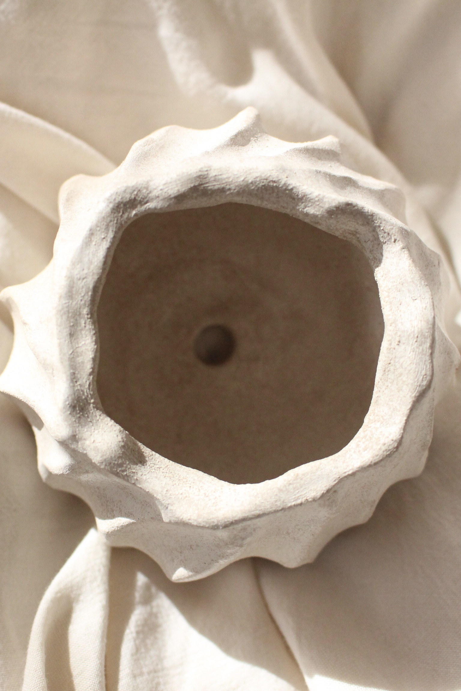 Wavy pot【White】| オーブン陶土　鉢　多肉植物　サボテン　塊根植物