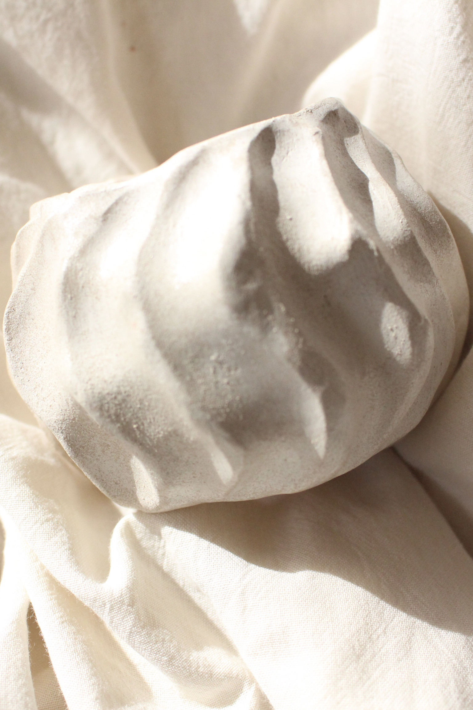 Wavy pot【White】| オーブン陶土　鉢　多肉植物　サボテン　塊根植物