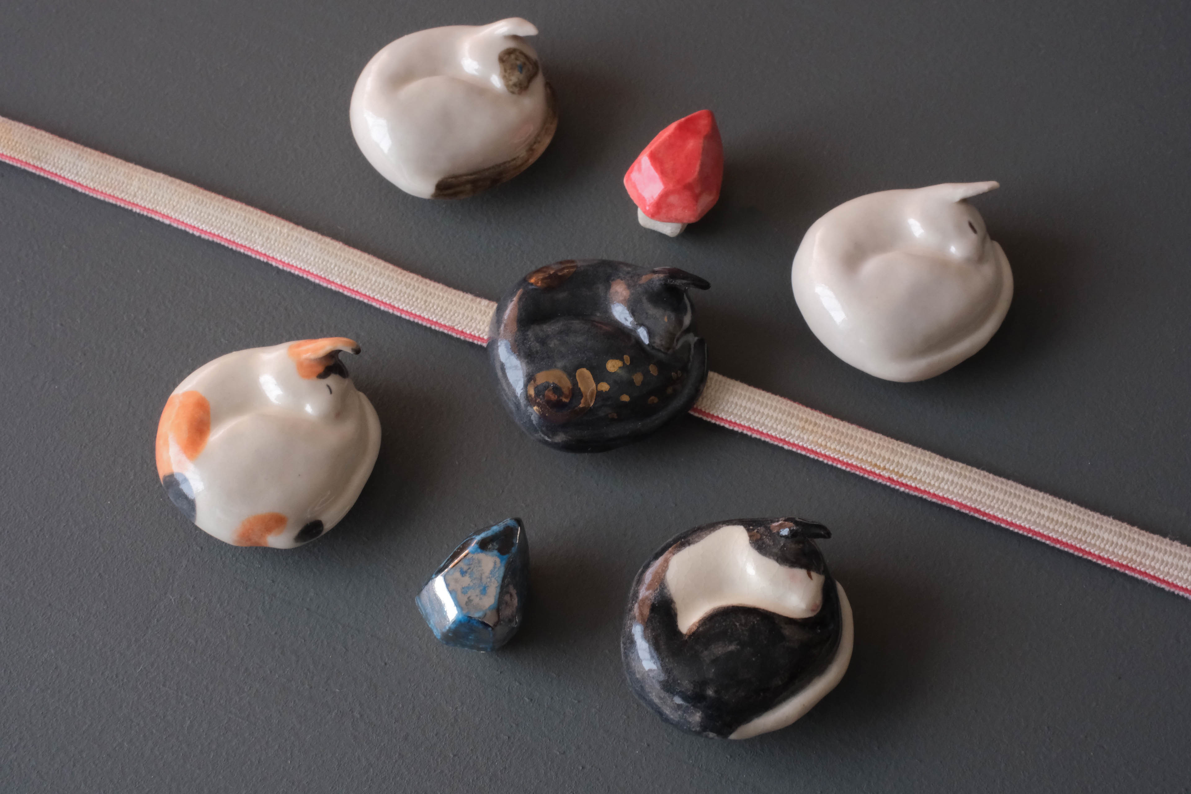 お昼寝コ(三毛猫)