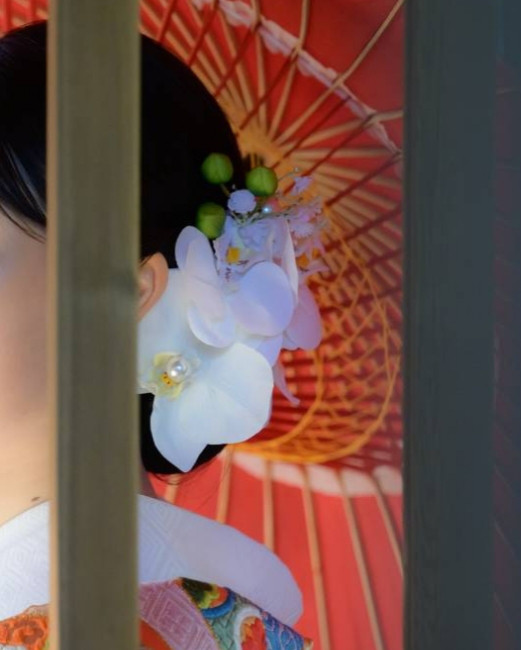 ハレの日【胡蝶蘭髪飾り】結婚式　卒業式　成人式 ❨送料無料❩