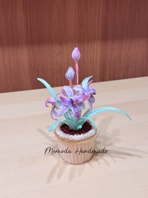 モールフラワー 蘭の鉢植え 紫 ハンドメイド 枯れない花 盆栽 Momoda