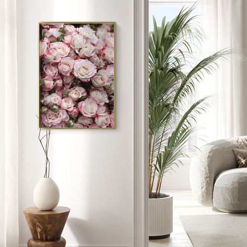 アートポスター 薔薇 バラ ピンク 花 写真 ボタニカル 北欧風 おしゃれ